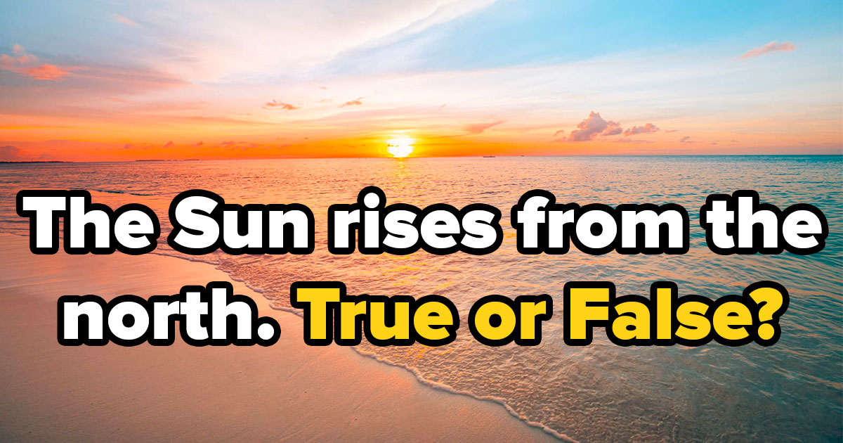 If You Can Pass This True or False Trivia Quiz Without Googling, Your Brain Is Amazing