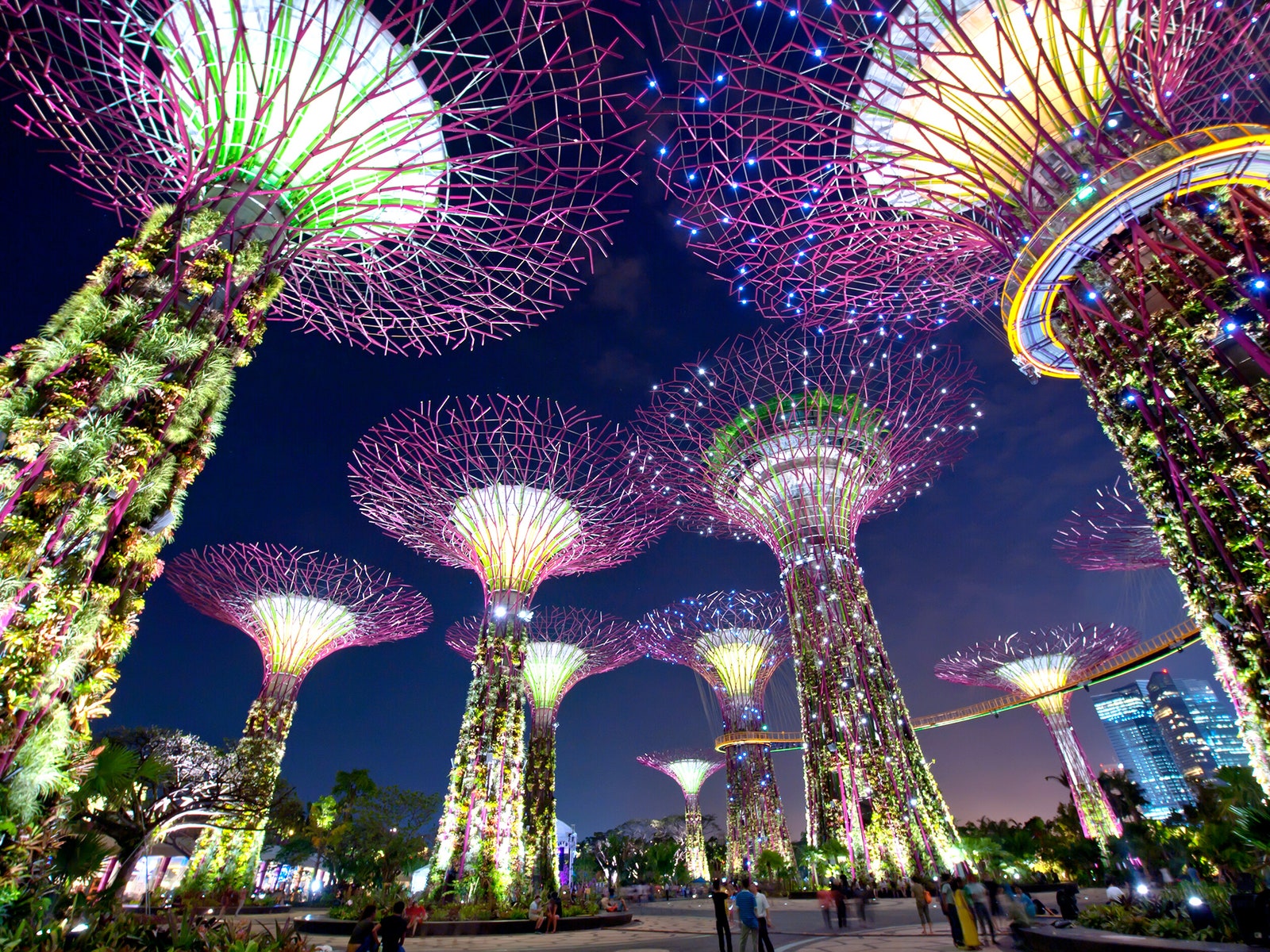 Countries Planet Quiz Singapore