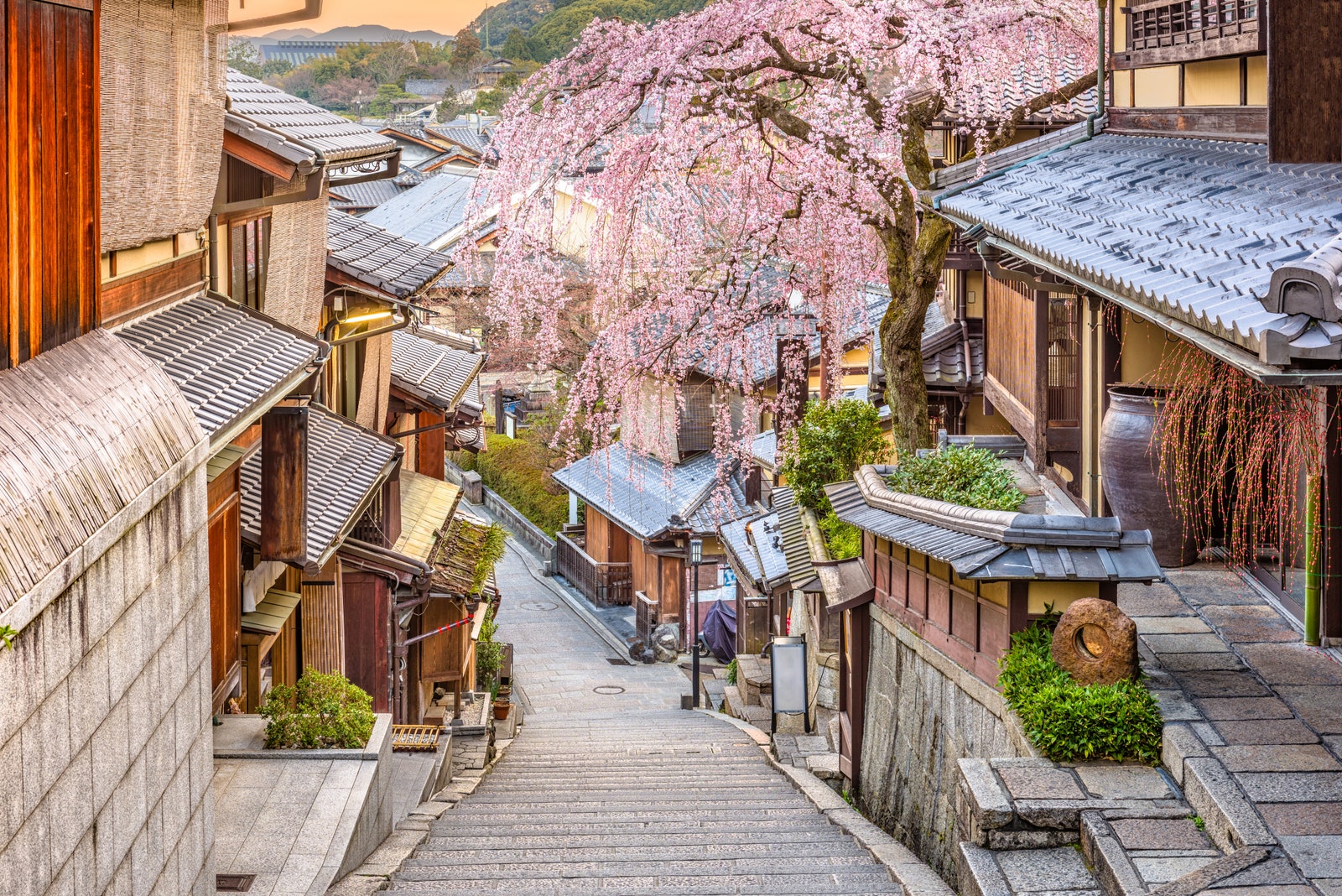 If You Can Score 16/22 on This General Knowledge Quiz, I’ll Be Gobsmacked Kyoto, Japan