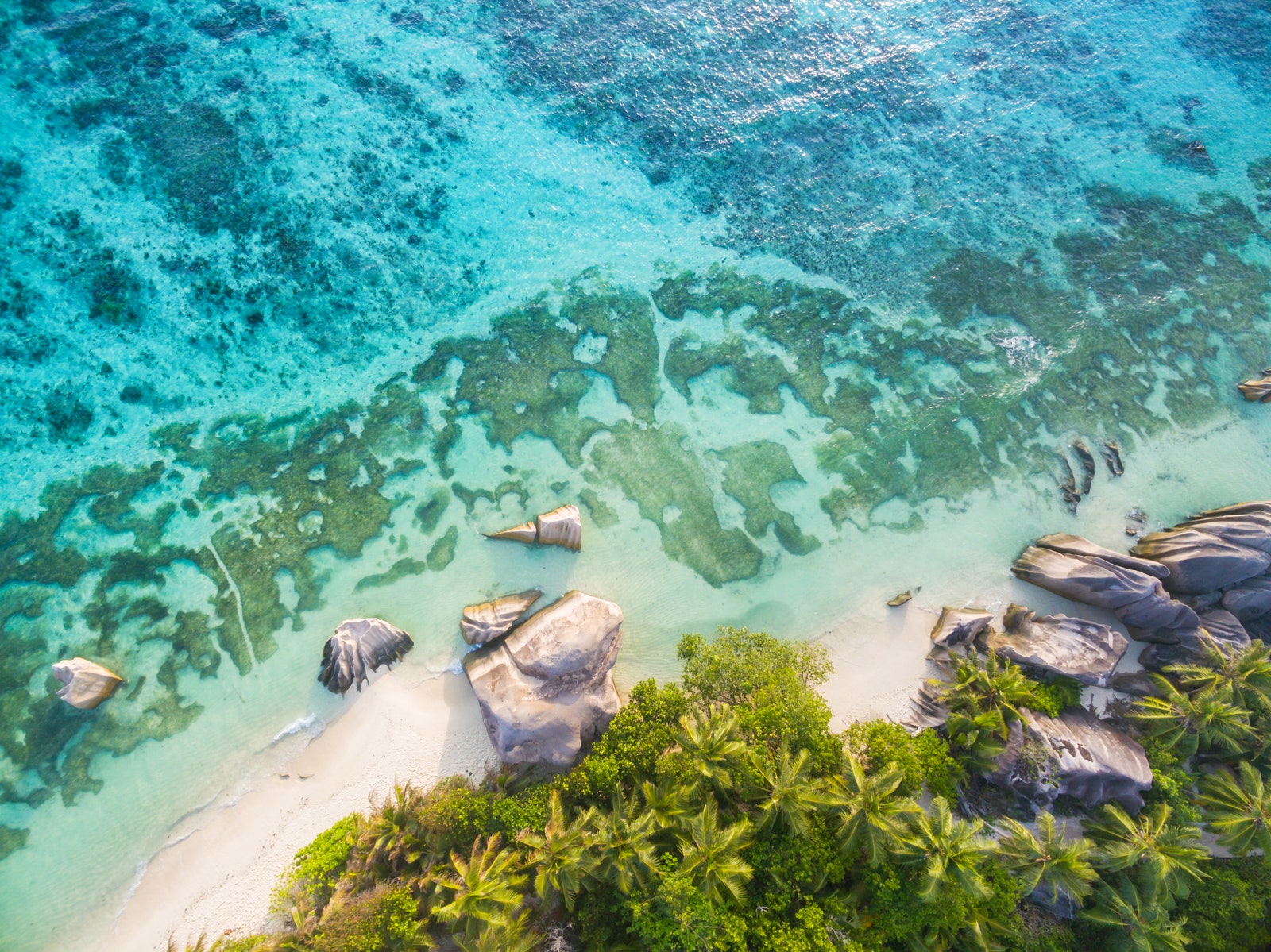 This Mixed Trivia Quiz Will Prove If You're Intelligent 1 in Your Family Seychelles