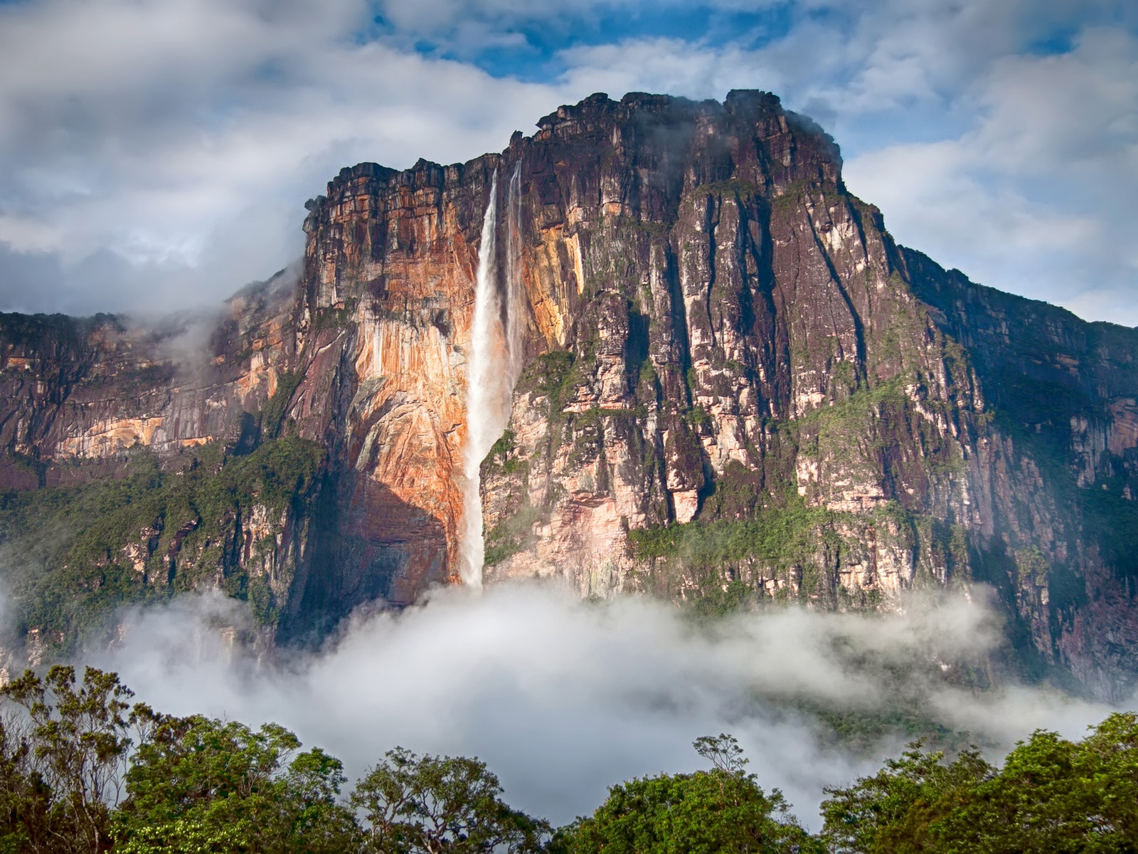 Unfortunately, Only 10% Of the Population Will Be Able to Score 100% On This Science Quiz Angel Falls waterfall, Venezuela