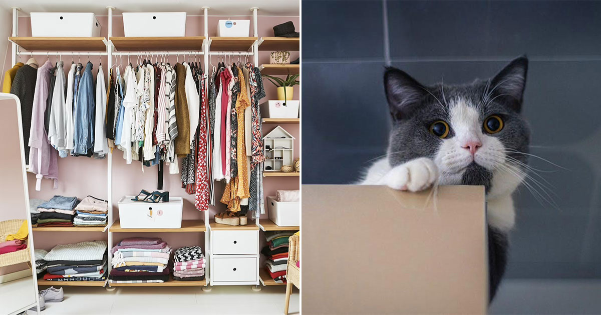 🏠 Declutter Your Home and We’ll Reveal What You Should Get Rid of from Your Life