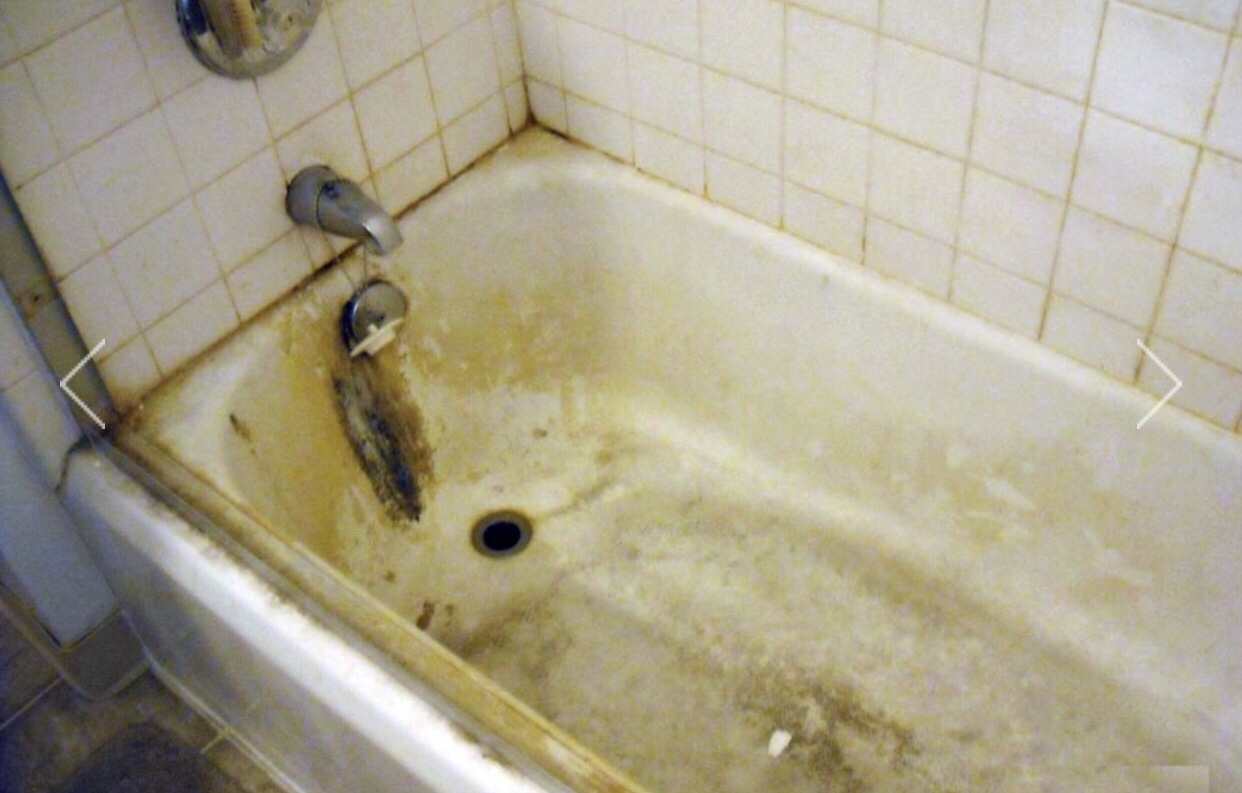 How Often You Clean Things Will Reveal How Gross Your H… Quiz When it is too gross to use