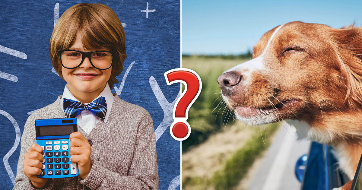 If You Score 14/20 on This Random Knowledge Quiz, 🧠 Your Brain May Be Too Big