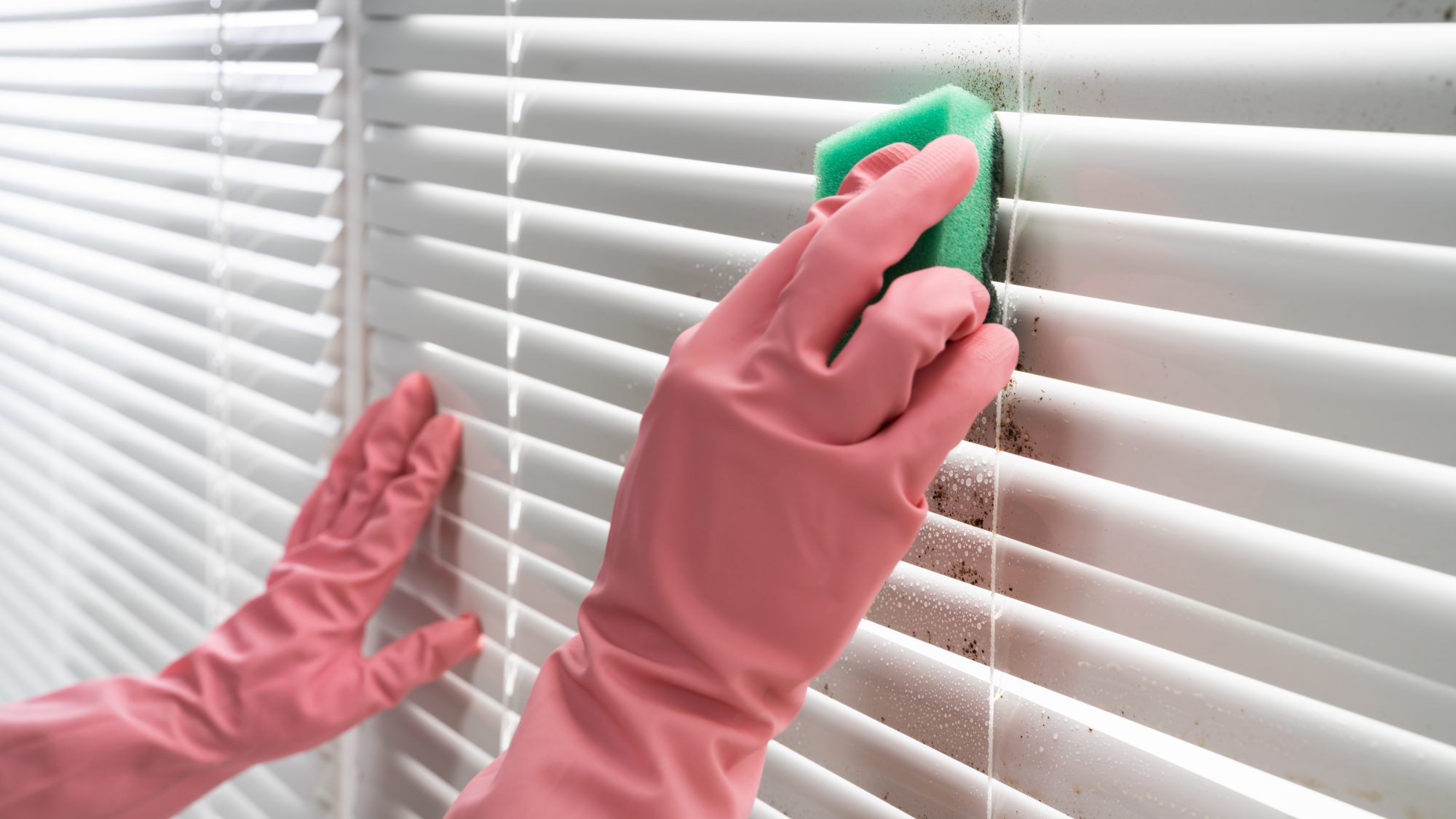 How Often You Clean Things Will Reveal How Gross Your H… Quiz Once a month or more often