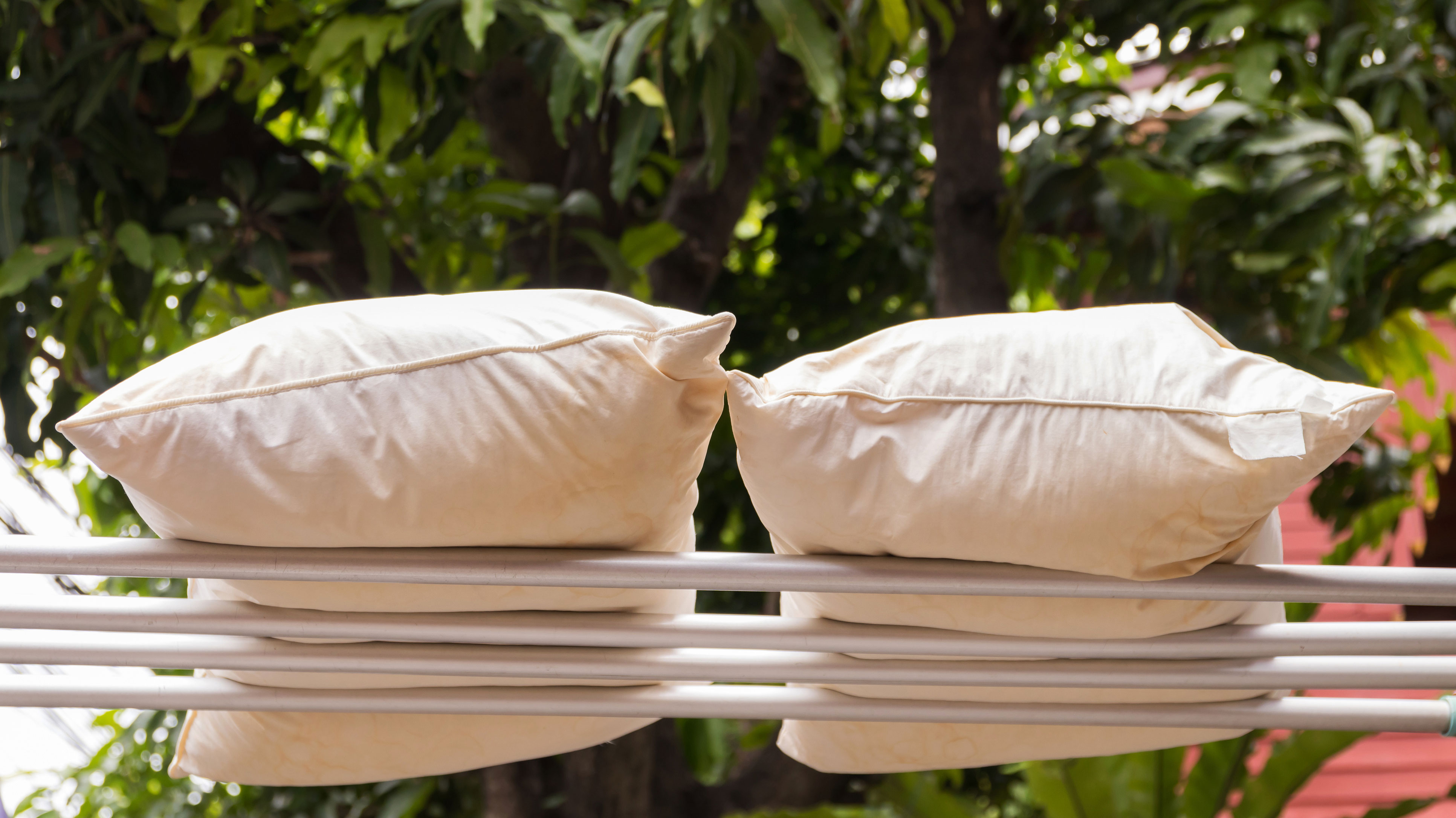 How Often You Clean Things Will Reveal How Gross Your H… Quiz Less than once per year