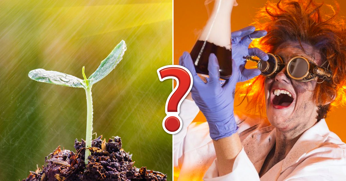 Can You Get Better Than 80% On This General Science Quiz?