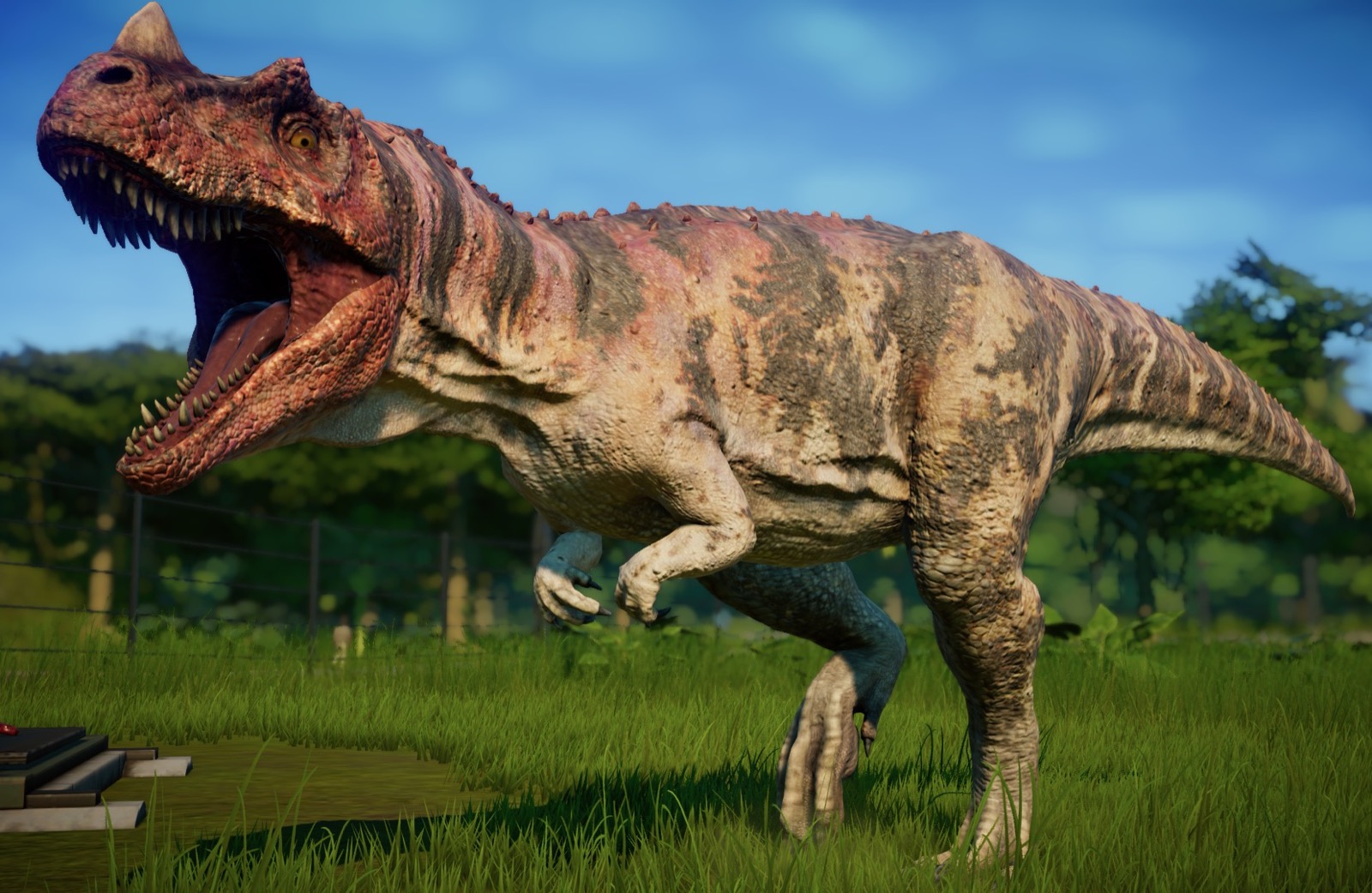 If You Can Score 15/20 on This Quiz, You’re Definitely an 🐾 Animal Expert Ceratosaurus