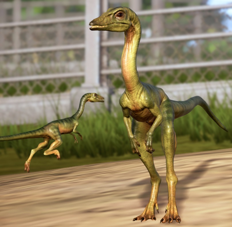 📚 Only a Person Who Has Read Enough Books Can Get 15/20 on This Quiz Procompsognathus