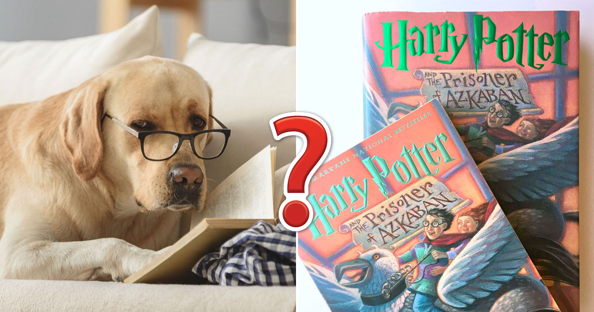 📚 Only a Person Who Has Read Enough Books Can Get 15/20 on This Quiz