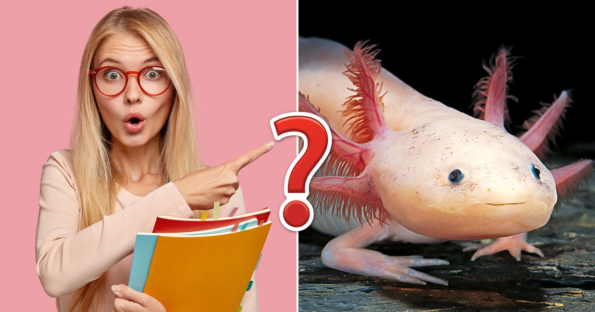 This General Knowledge Quiz Is Not That Hard, So to Impress Me, You'll Need to Score 16