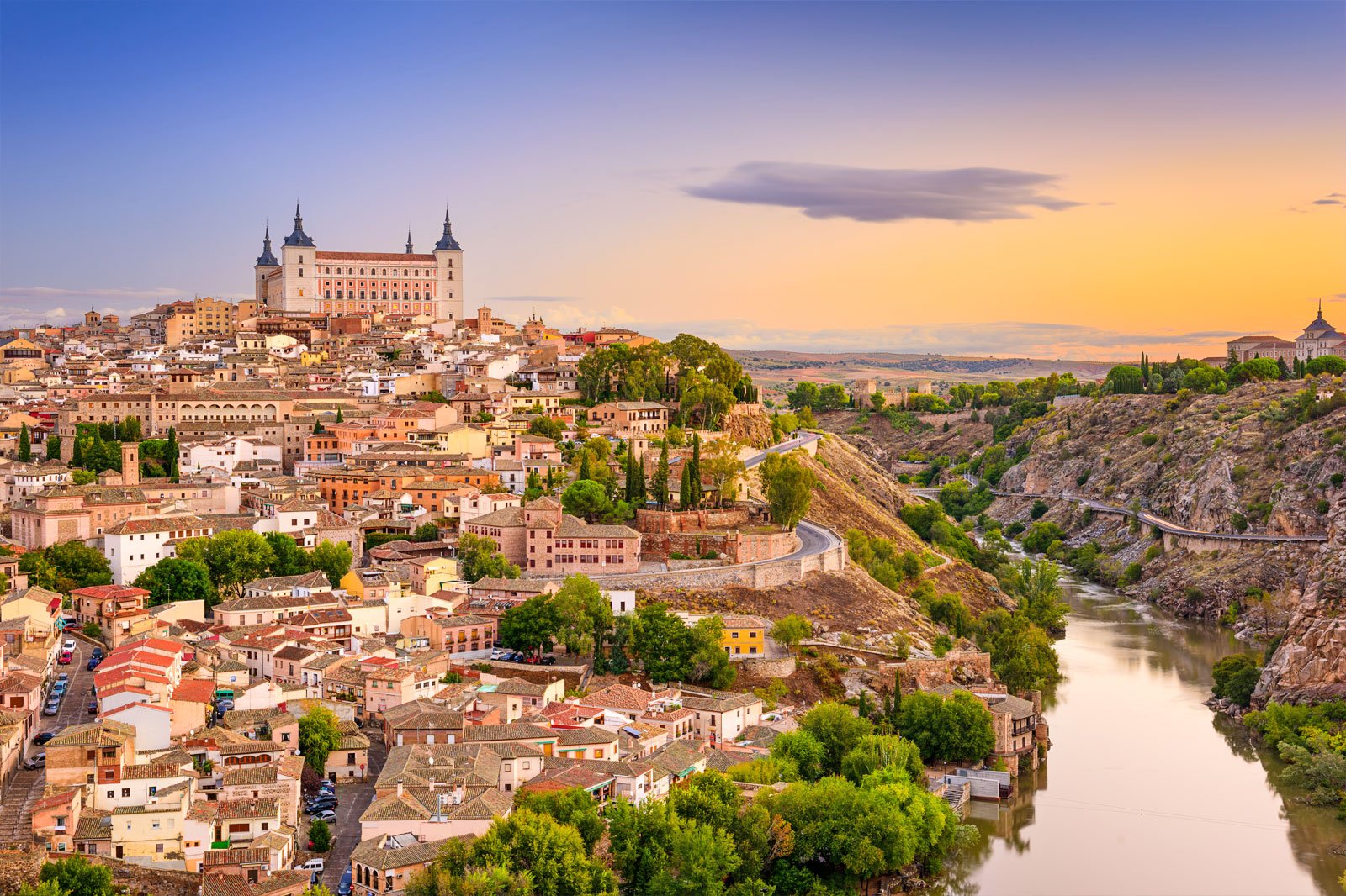 Can You Pass This General Knowledge Quiz While Being Distracted by 🐶 Cute Puppies? Toledo
