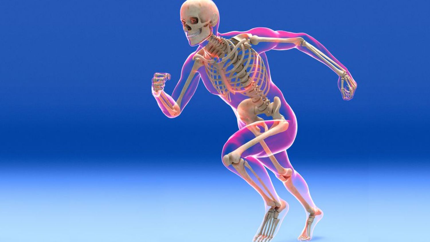 It’s Time to Chill and Try Your Hands at This Easy Mixed Knowledge Quiz Skeletal system
