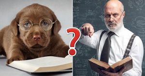 Only Someone Who Paid Close Attention in School Can Get 16 on This Science Quiz