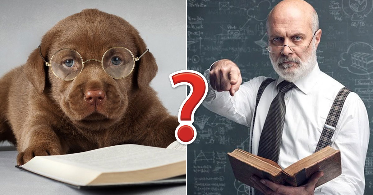 Only Someone Who Paid Really Close Attention in School Can Get 16/22 on This Science Quiz