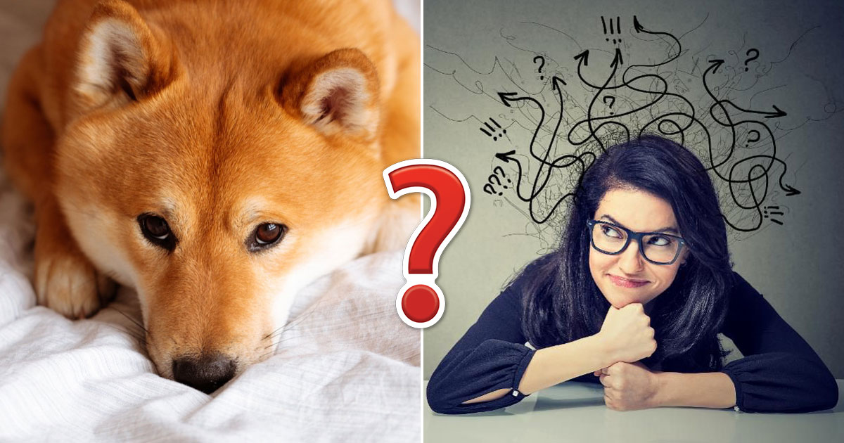 Your Random Knowledge Is Lacking If You Don’t Get 15/25 on This Quiz