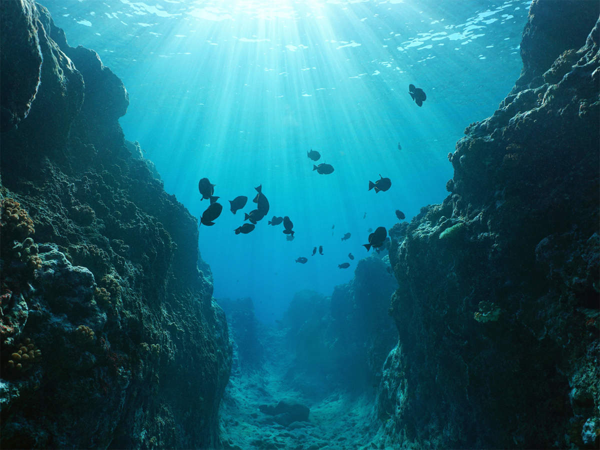 Only the Super Smart Will Score Better Than 17/24 on This Geography Quiz Mariana ocean trench
