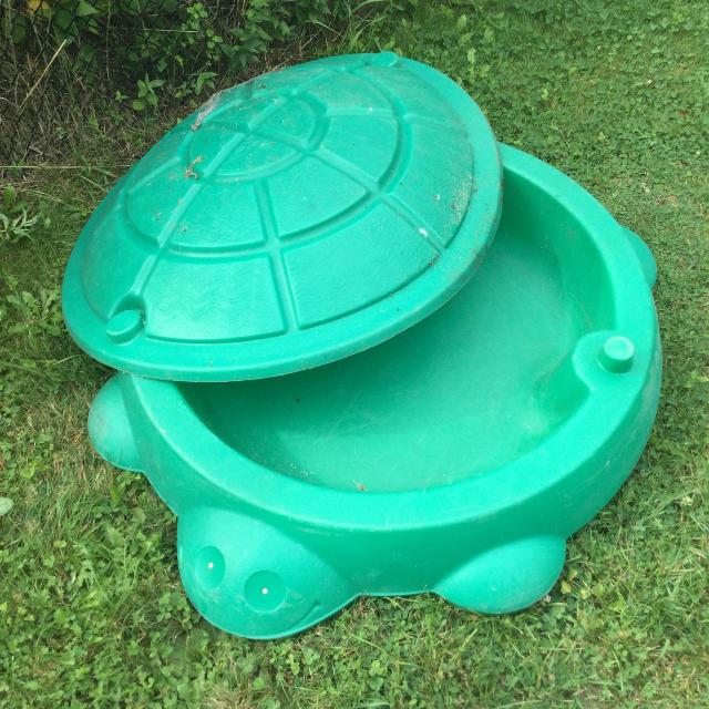 If You Had 10 Of Things Growing Up, You Were Rich Friend Quiz I had a turtle pool