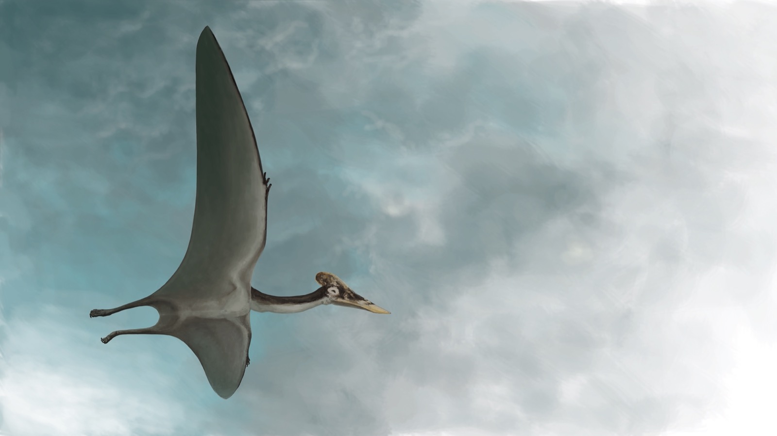 This Science Quiz Is Not That Difficult, But It Would Separate the Good Students from the Not-So-Good Pterosaur
