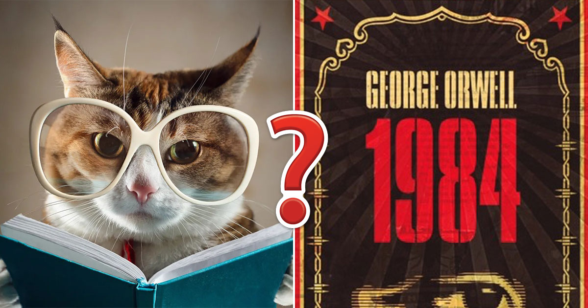 Sorry, But Only 🤓 an Actual Bookworm Can Score 16/22 on This 📚 Famous Novel Quotes Quiz