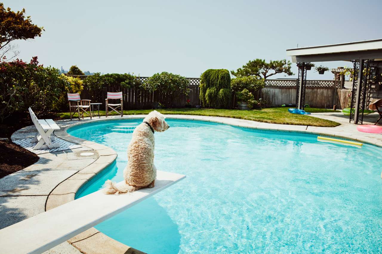 What % Posh Are You? Quiz I have an in-ground pool