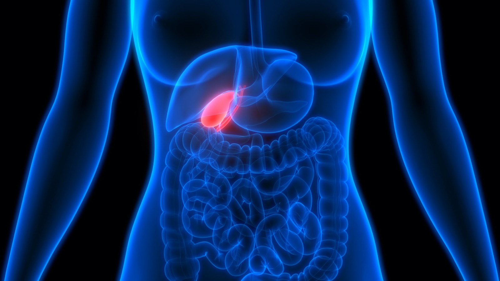 Can You *Actually* Crush This Mixed Knowledge Quiz on Your First Try? Gallbladder