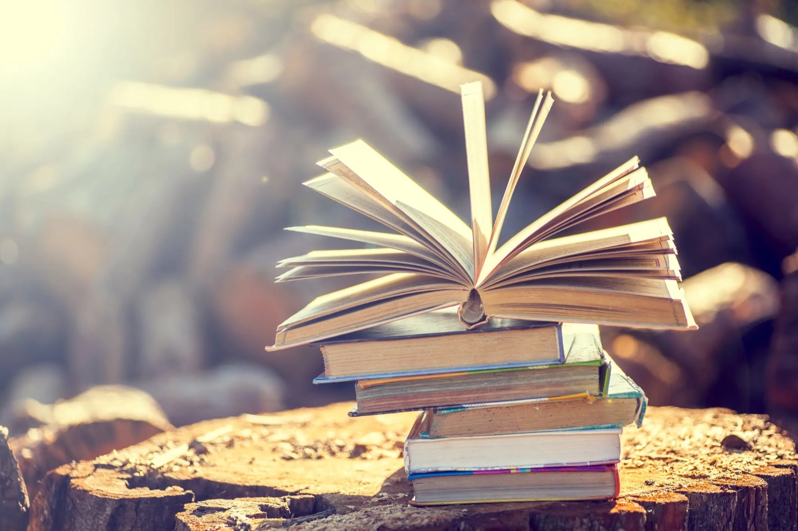 Are You A Hobbit, An Elf, A Dwarf, Or An Orc? Quiz Wisdom