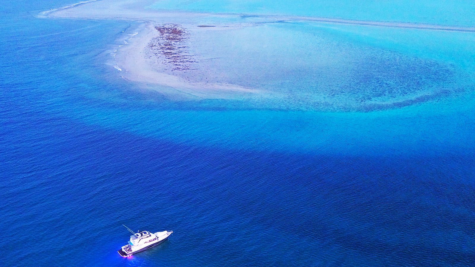 Unfortunately, Only 1 in 10 People Can Pass This Random Knowledge Quiz — Let’s Hope You’re One of Them Tasman Sea