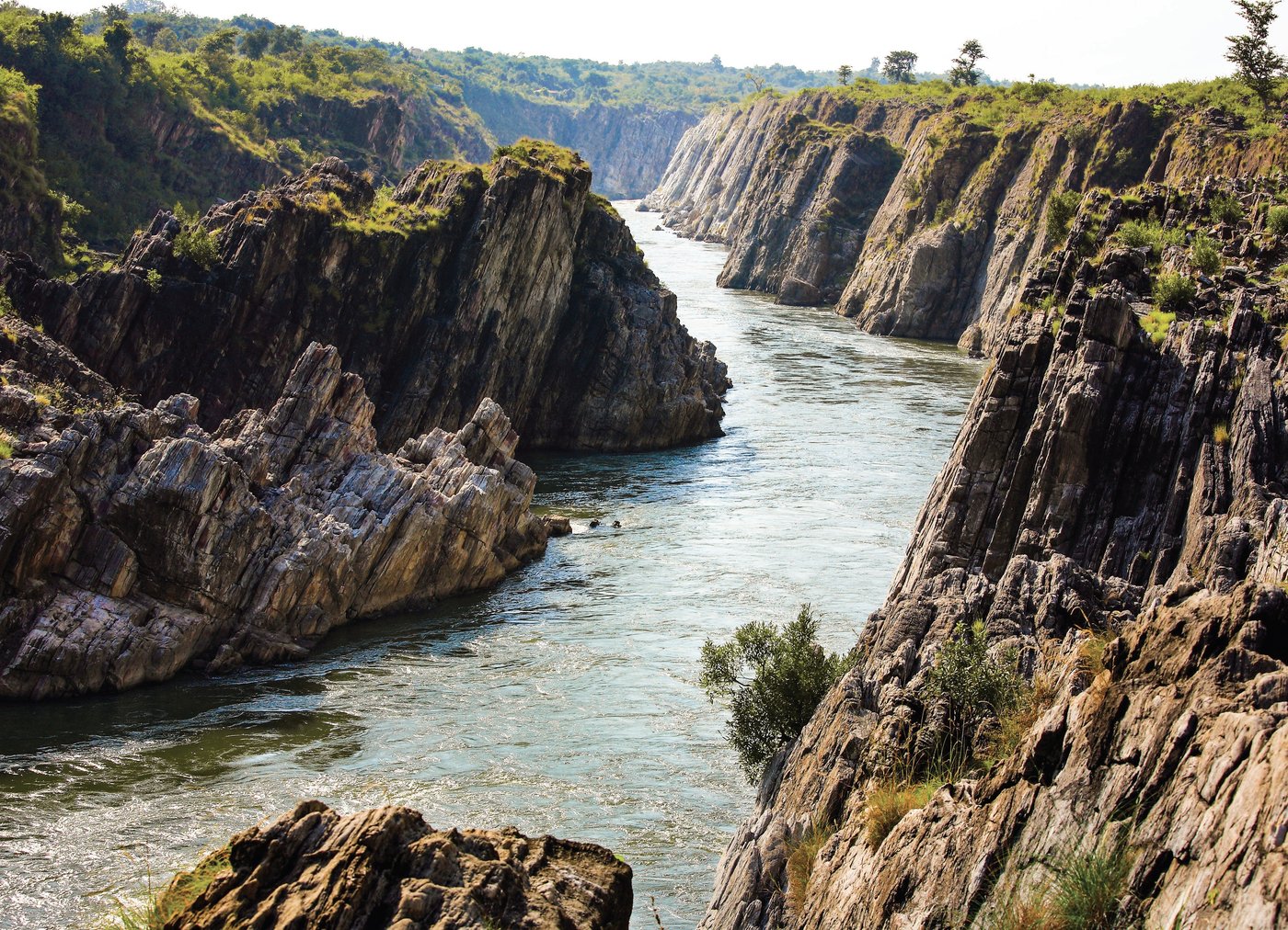 Hey, We Bet You Can’t Get Better Than 80% On This Random Knowledge Quiz Narmada River