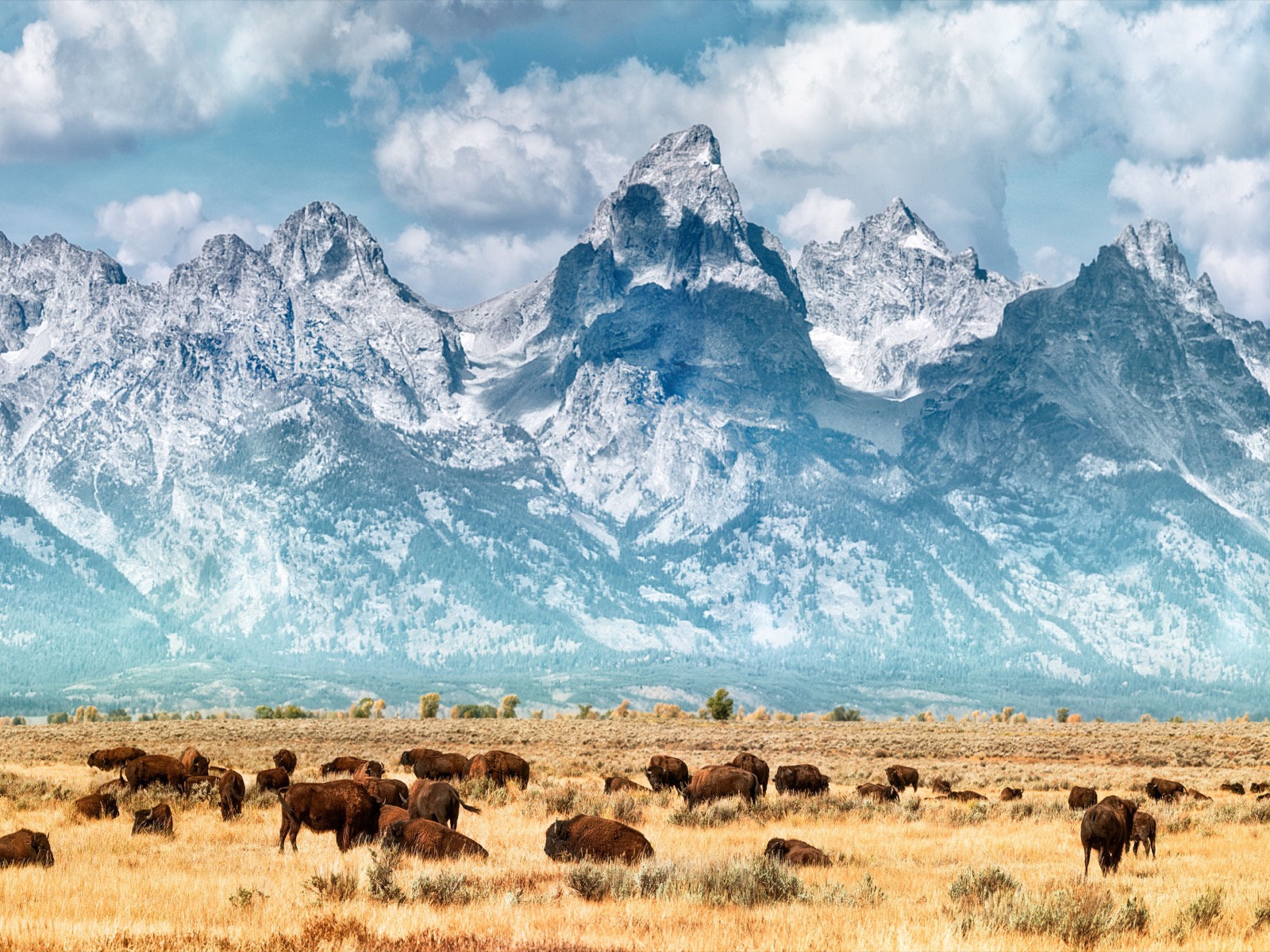 Can You Match These Natural Wonders to Their Locations? Grand Teton Mountains, Wyoming