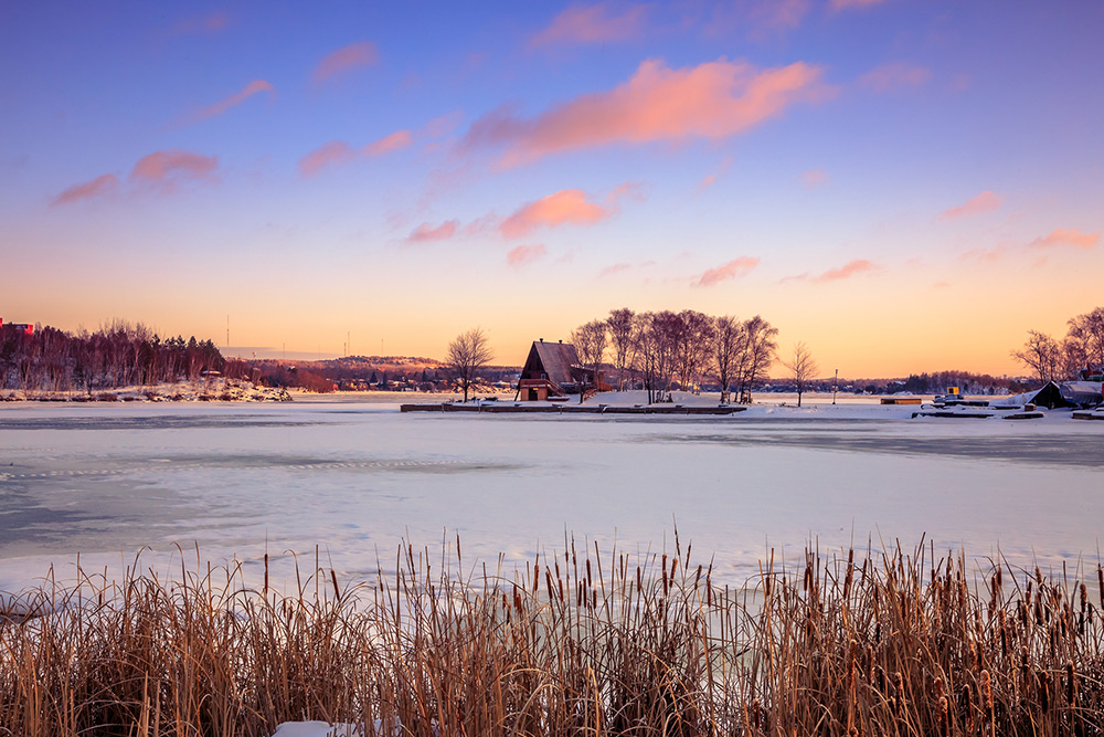 Plan a Trip to Canada and We’ll Reveal Which Dog Breed Suits You the Best Ontario