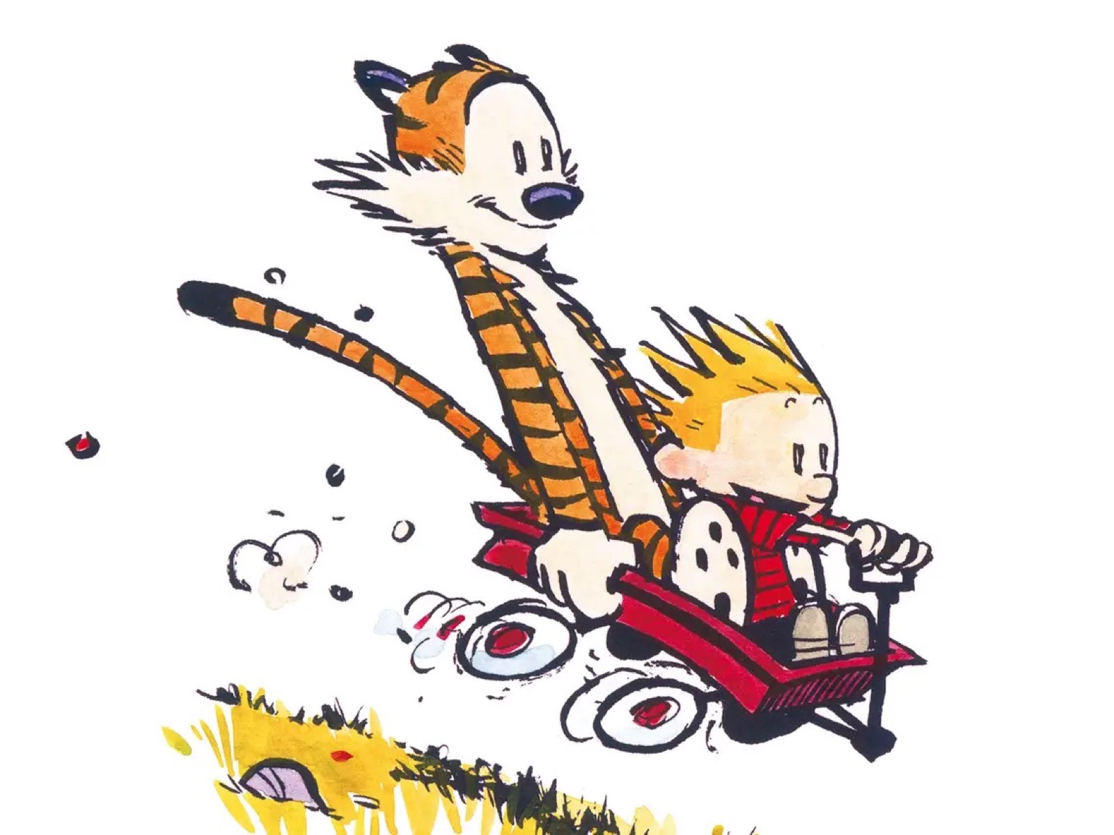 If You Pass This General Knowledge Quiz, You Are Certified 100% Smart Calvin And Hobbes