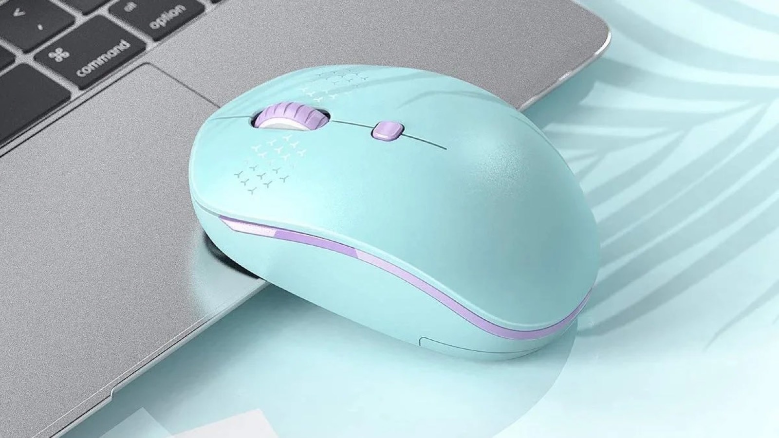 Computer Mouse