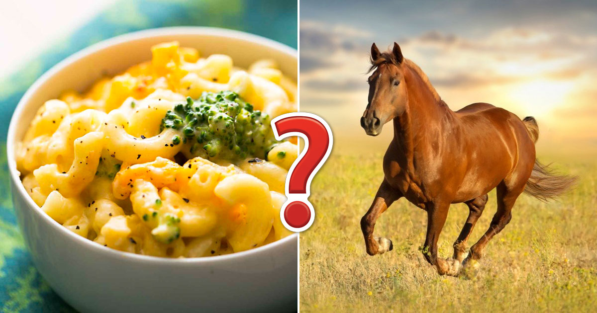 These 24 Questions Will Reveal How Much Random Knowledg… Quiz