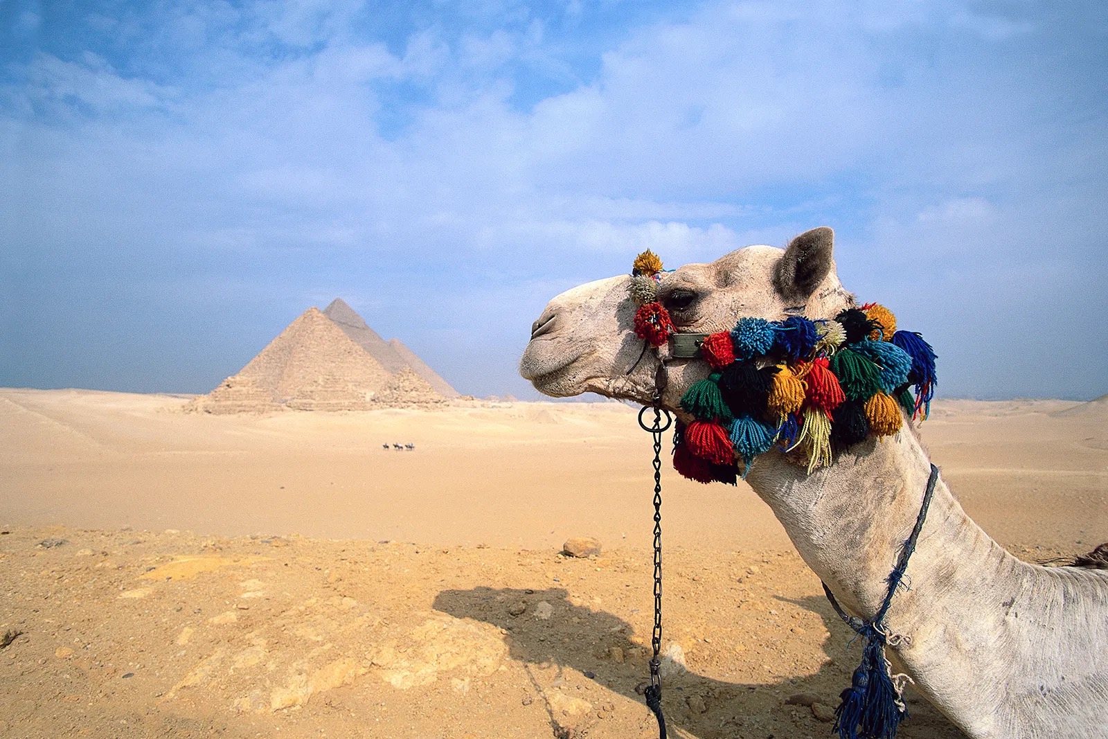 Even If You Don’t Know Much About Geography, Play This World Landmarks Quiz Anyway Camel Pyramids Of Giza Egypt