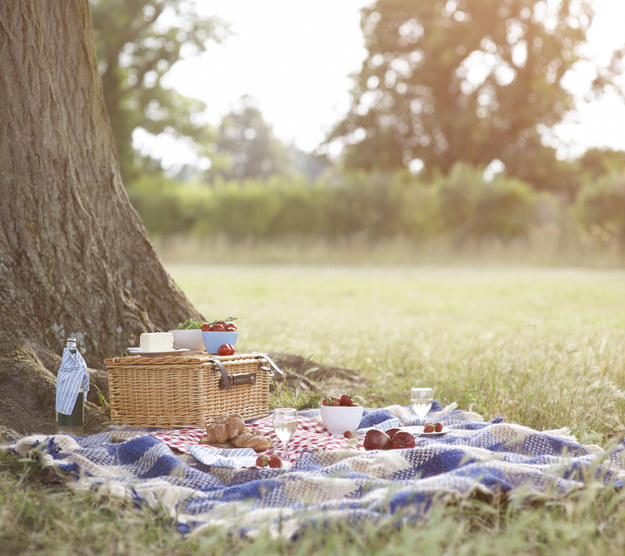 Design Your Vacation & I'll Give You Destination To ️ T… Quiz Picnicking