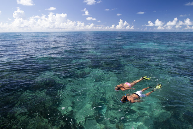 Snorkeling