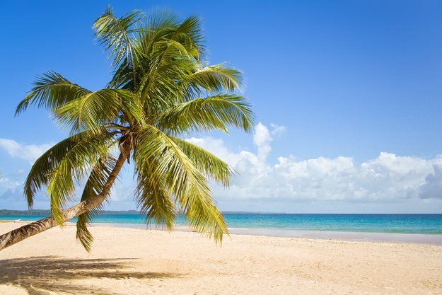 Cosmos Persona Quiz Relaxing on a beautiful tropical beach