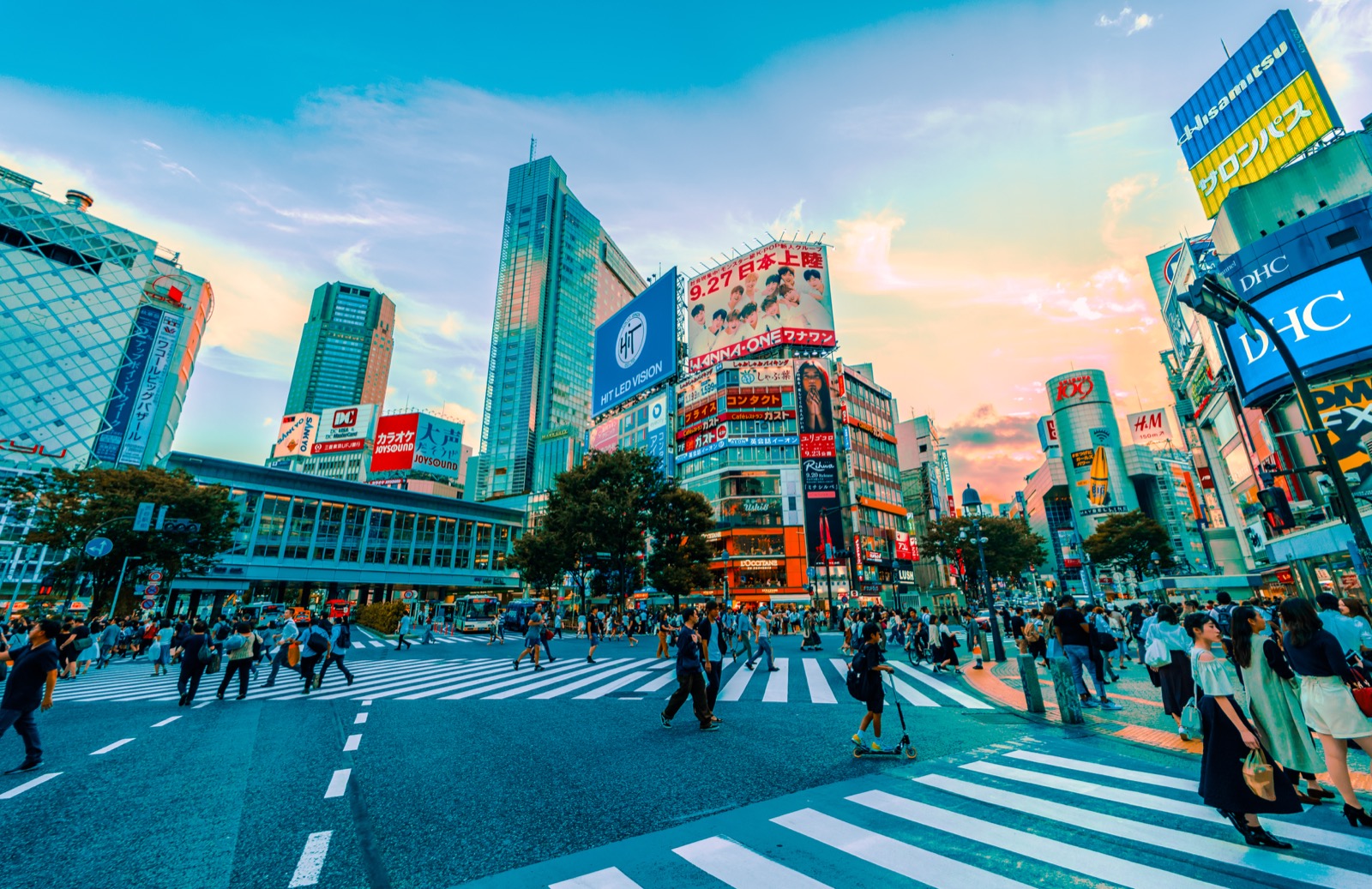 It’s Pretty Obvious What Your 🥘 Favorite Cuisine Is from the 🌴 Cities You Like Tokyo
