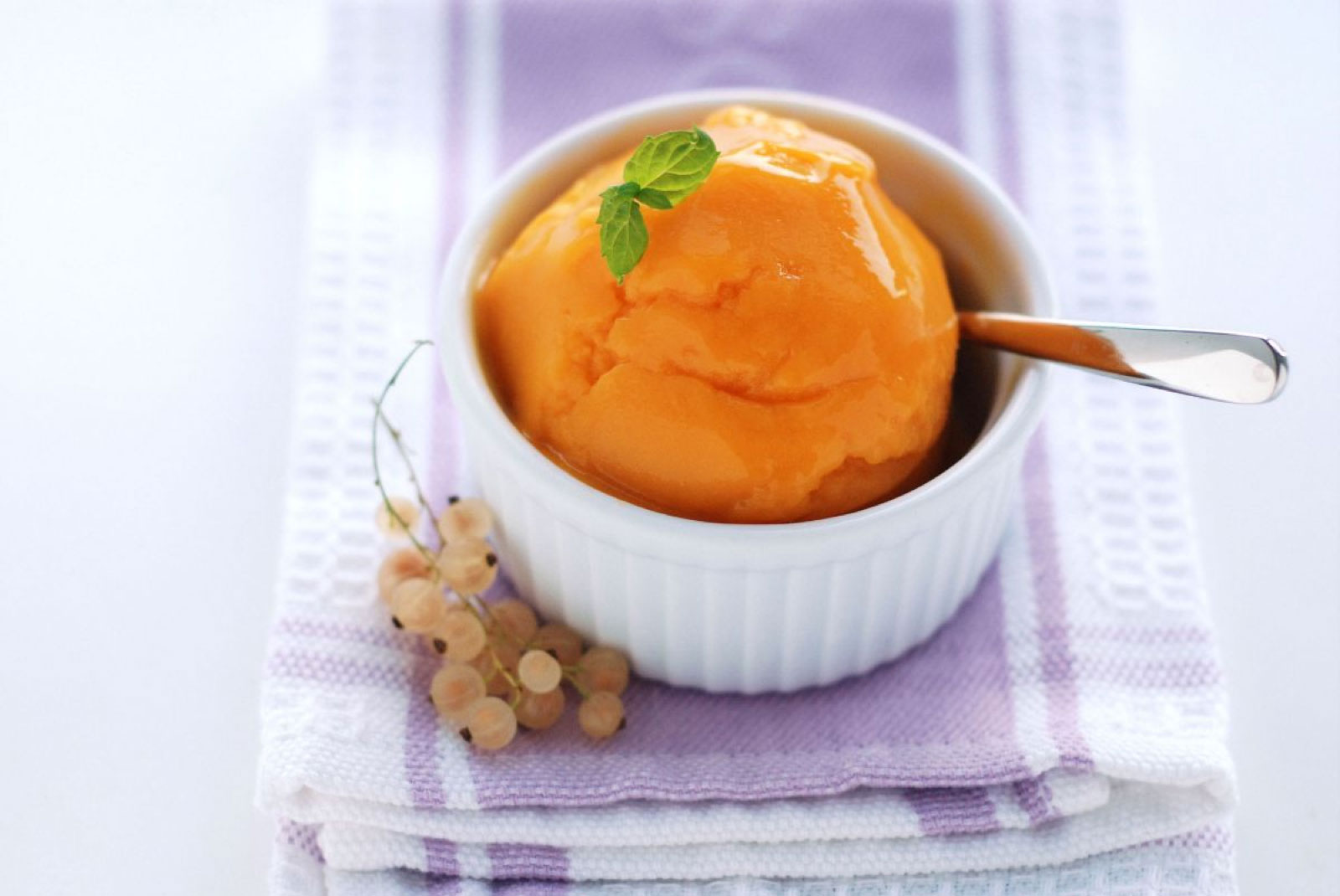 If You Like 20/30 of These Unpopular Desserts, You Are a True Dessert Lover Mango Sorbet