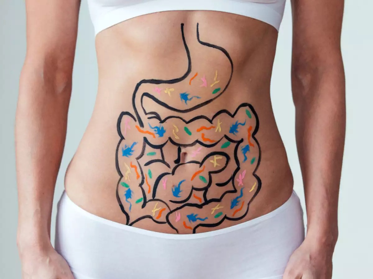 🧪 Do You Know Enough About Science to Answer 19 of These 25 Questions Correctly? metabolism digestive system