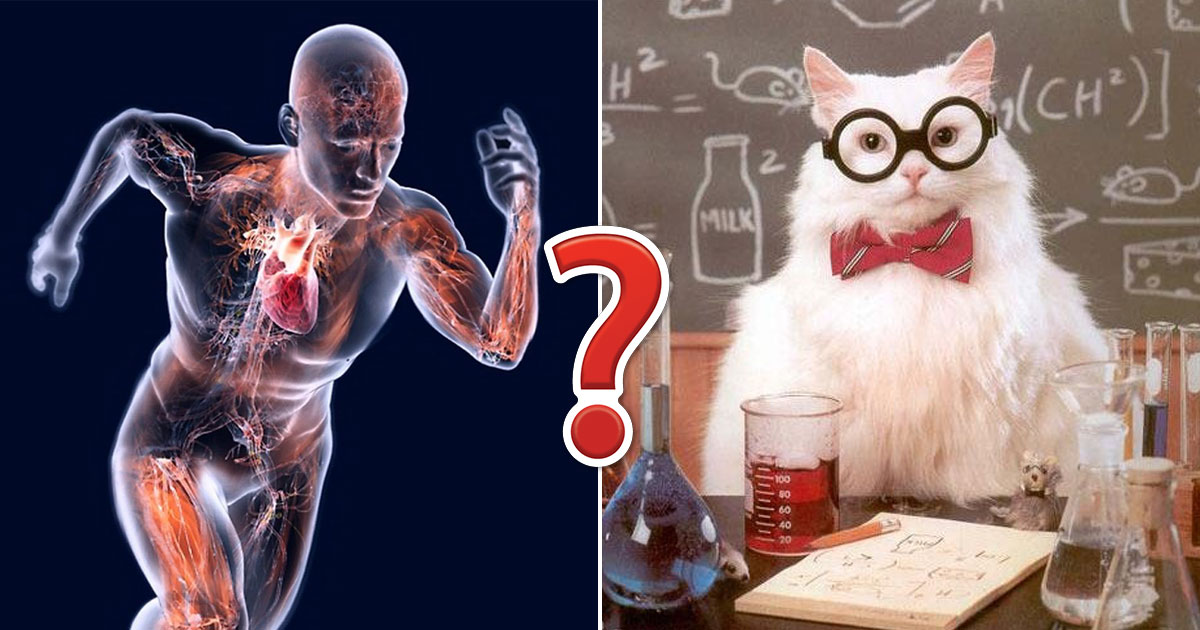 If You Pass This Quiz WIth Flying Colors, Then You Definitely Know Enough About Science
