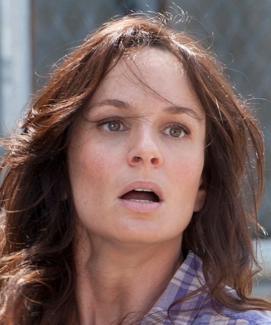 Remove 1 Character From TV Shows To Know What Award You… Quiz Lori Grimes