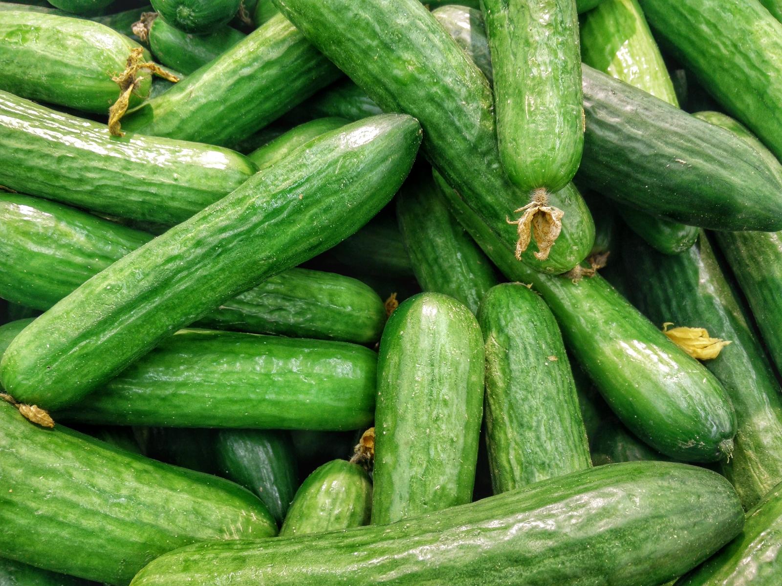 What Shade Of Green Are You? Quiz Cucumber