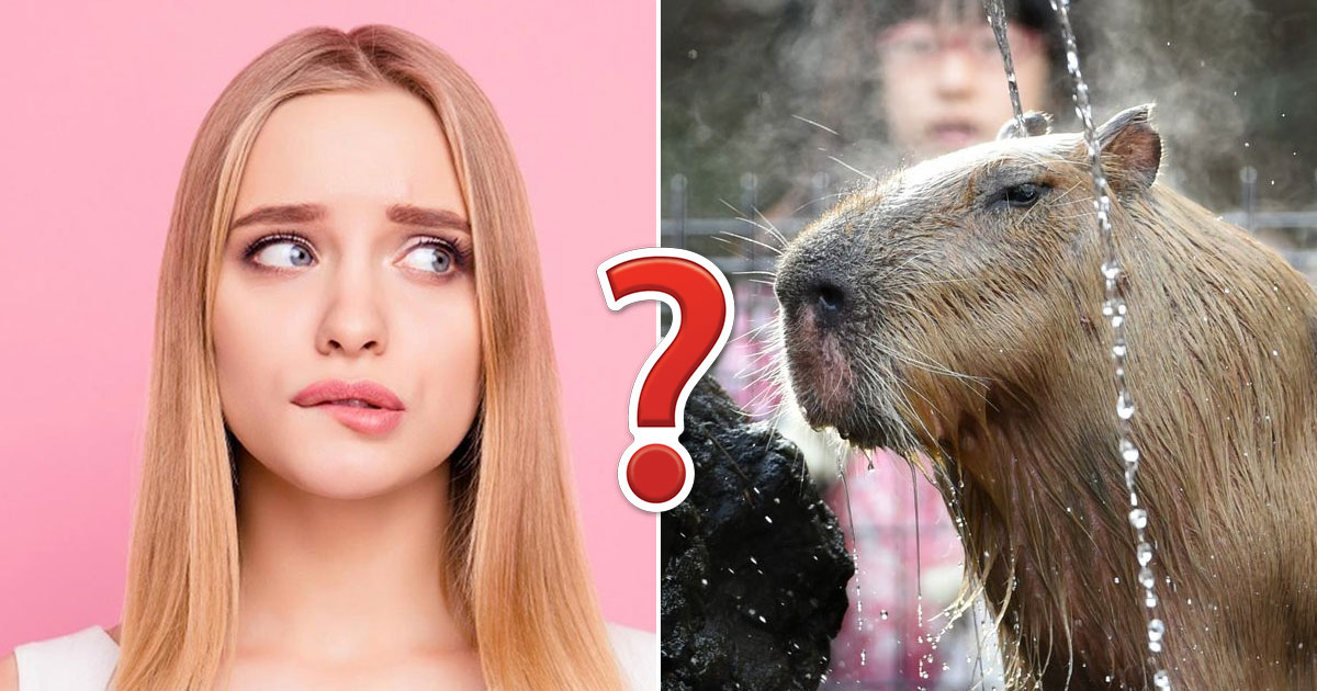 Not to Be Dramatic, But This General Knowledge Quiz Will Be the Hardest Thing You Do Today