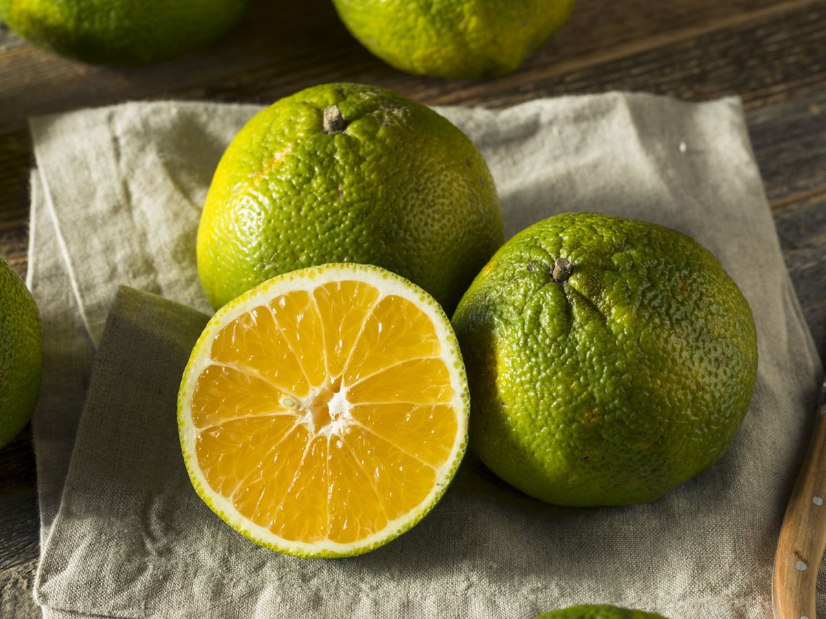 What Cake Matches Your Vibe? Quiz Ugli fruit