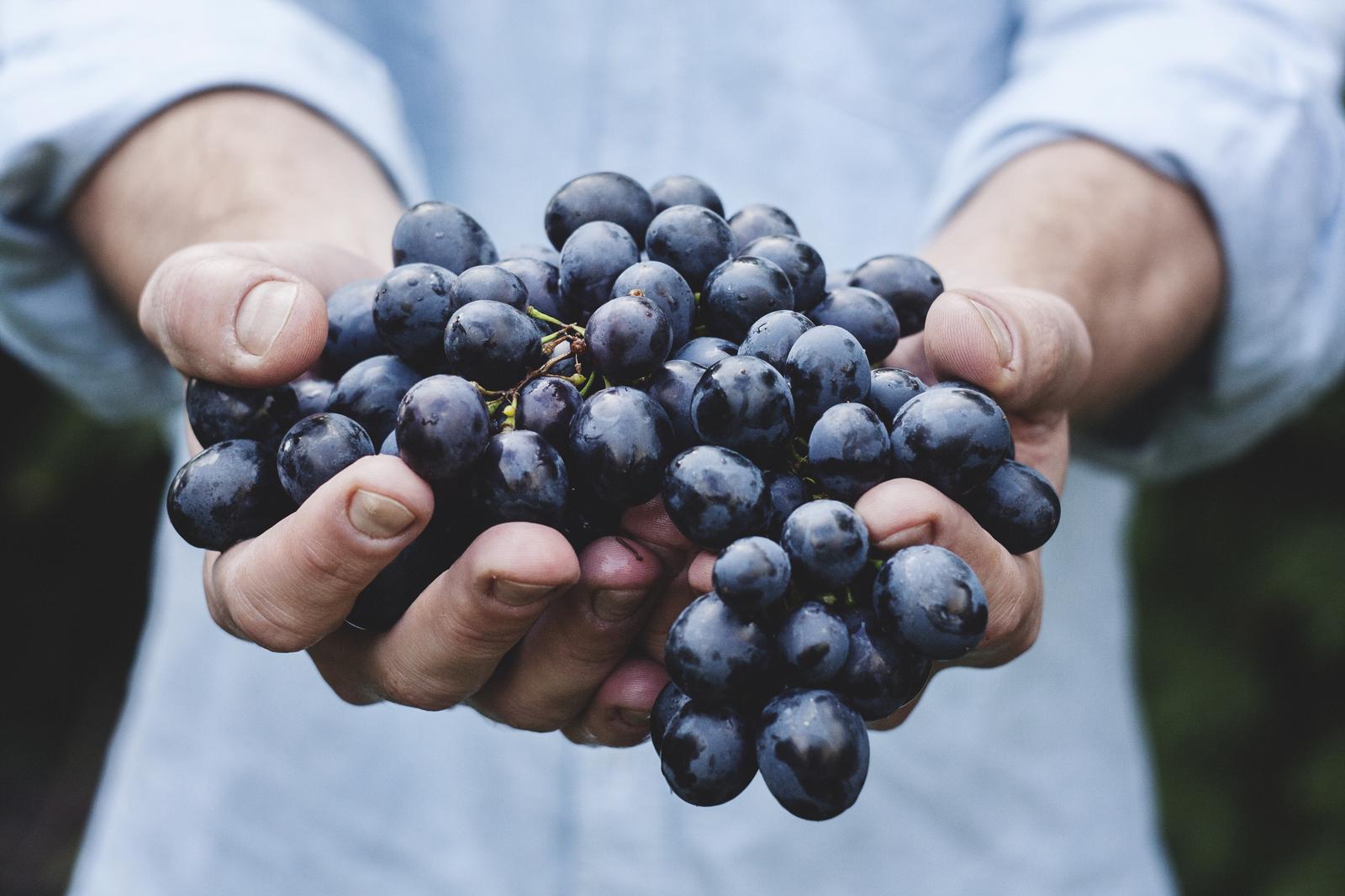 Eat Cold Foods For Day & I'll Give You Cool Nickname Quiz Grapes