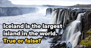 Are You Master of General Knowledge? Take This True or False Quiz to Know