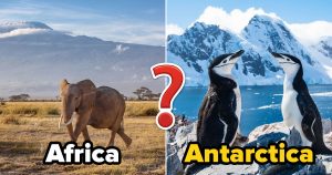 Can You Make It Around World With This 28-Question Trivia Quiz?
