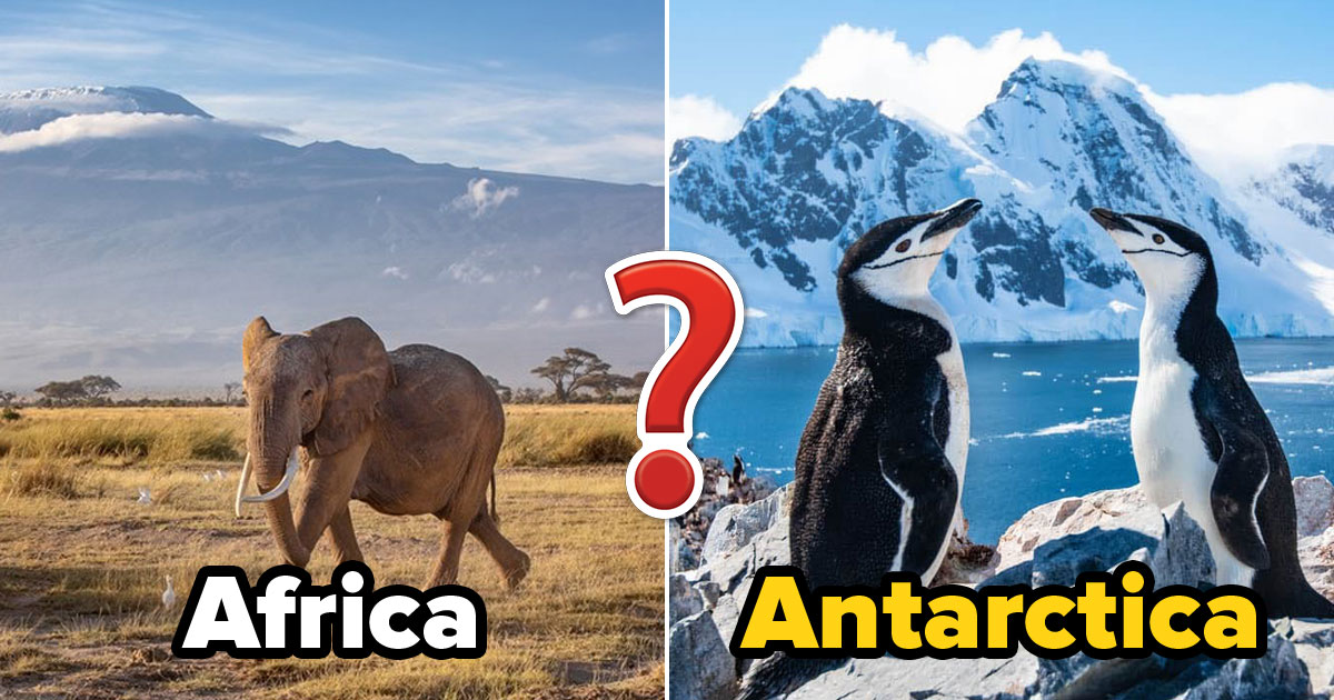 Can You Make It Around the 🌎 World With This 28-Question Trivia Quiz?
